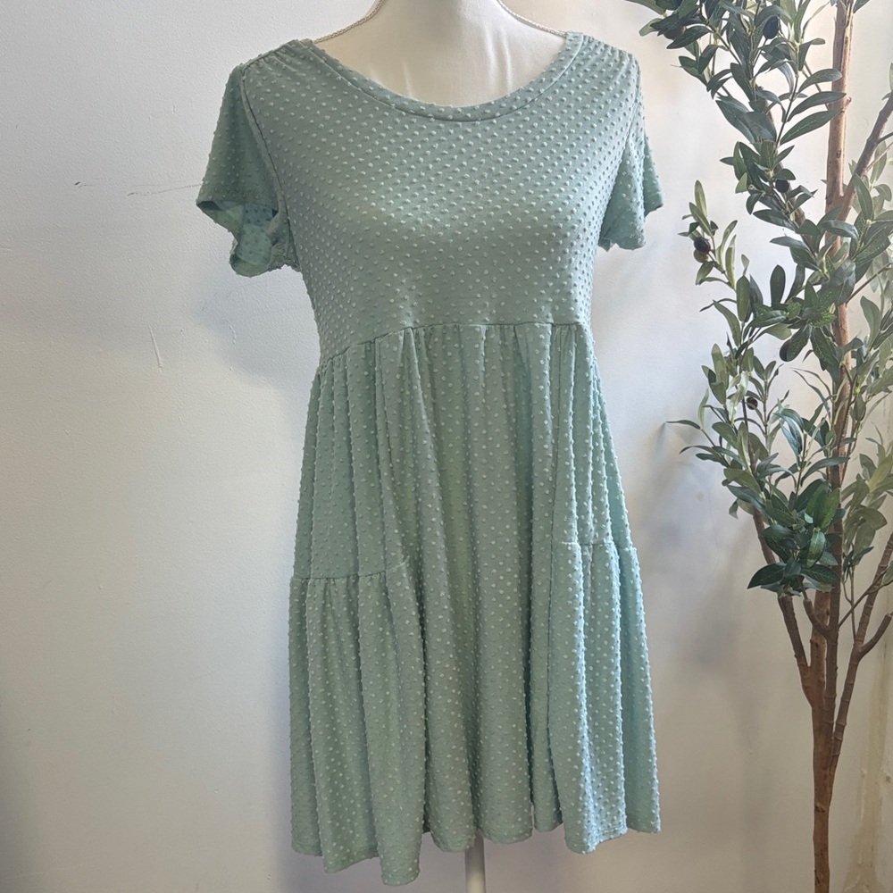 Rolla Coster Light Green Textured Mini Dress